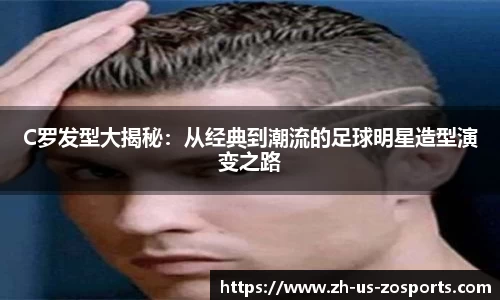 中欧体育
