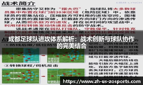 中欧体育